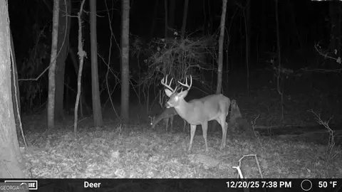 Other - 733 Cherry Rd, Franklin, GA 30217 photo 17 of 18