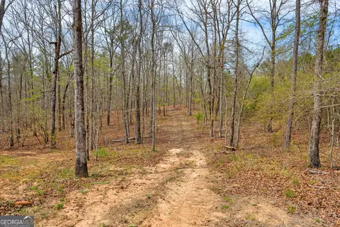 Other - 733 Cherry Rd, Franklin, GA 30217 photo 13 of 18