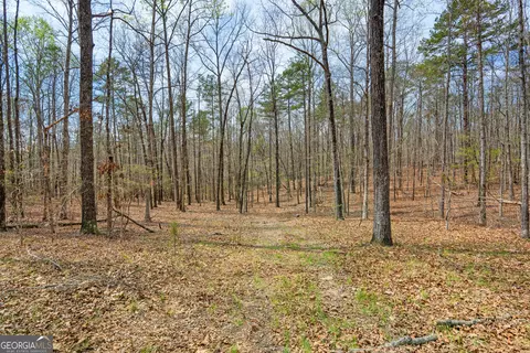 Other - 733 Cherry Rd, Franklin, GA 30217 photo 12 of 18