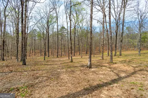 Exterior - 733 Cherry Rd, Franklin, GA 30217 photo 14 of 20