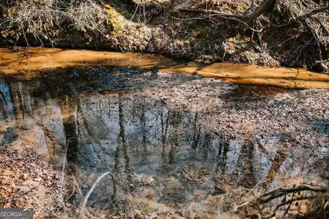 0 Lovers Ln, Stephens, GA 30667 photo 9