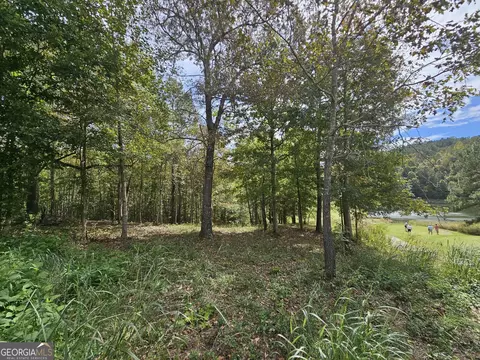 42 Lookout Pt, Toccoa, GA 30577