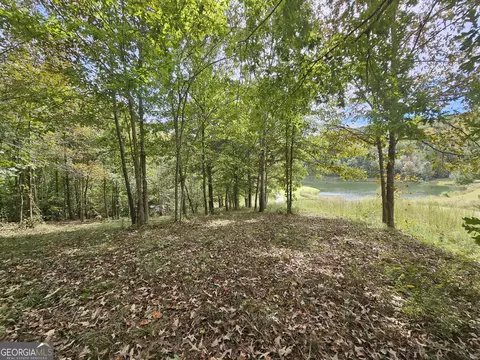 42 Lookout Pt, Toccoa, GA 30577 photo 11