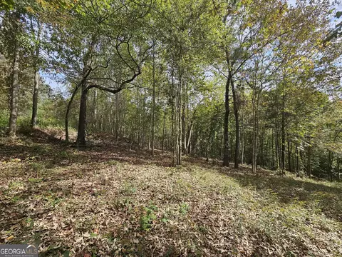 42 Lookout Pt, Toccoa, GA 30577 photo 15