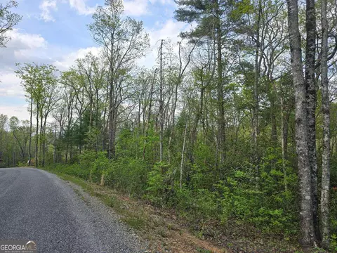 lot10 Kennedys Ct, Blairsville, GA 30512