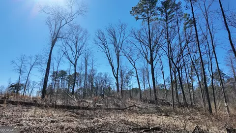 725 Old Jackson Rd, Mcdonough, GA 30252 photo 37