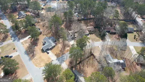 View/Area - 1067 Brookview Ln, Hampton, GA 30228 photo 3 of 4