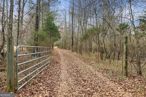 34 61 Acres Walker Rd, Meansville, GA 30256