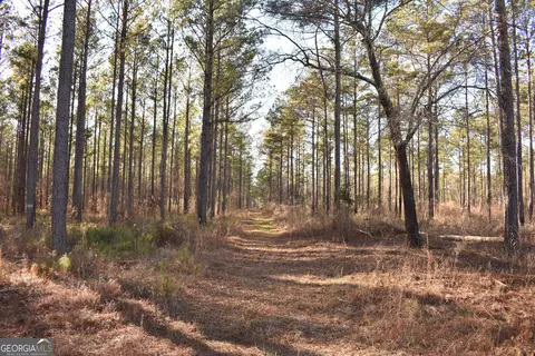 0 Bancroft Rd, Blakely, GA 39823