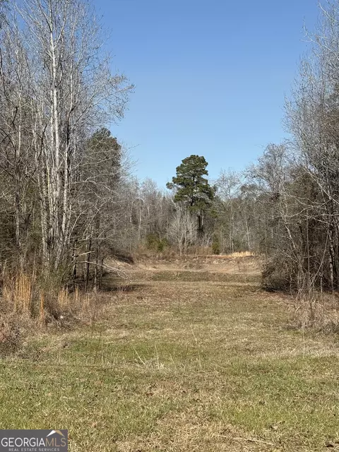 9694 Broad St, Avera, GA 30803 photo 5