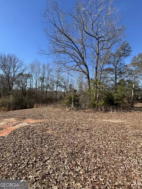 9694 Broad St, Avera, GA 30803 photo 7