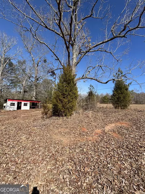9694 Broad St, Avera, GA 30803 photo 8