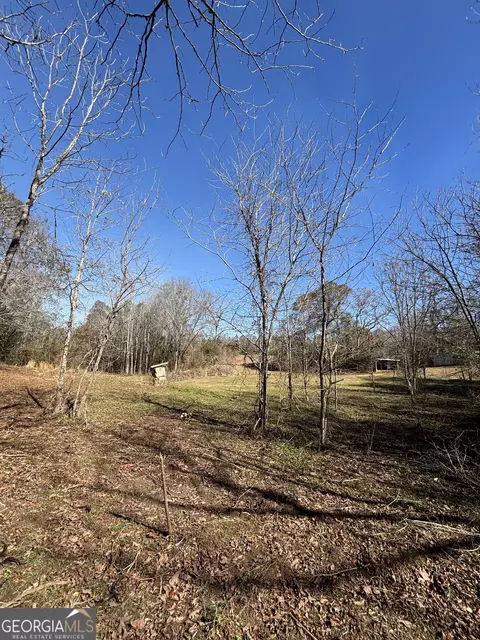 9694 Broad St, Avera, GA 30803 photo 4