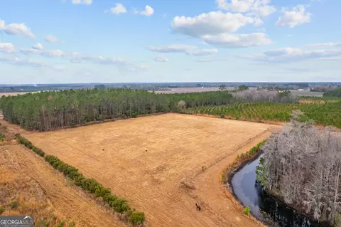 0 Trudie Rd, Blackshear, GA 31516 photo 14