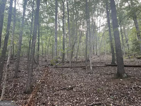0 Rockfence Rd, Adairsville, GA 30103