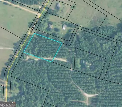 956 Joe Hilton Rd, Vidalia, GA 30474
