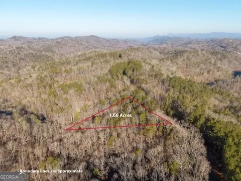 1665 Hunter Dr #42, Talking Rock, GA 30175 photo 6
