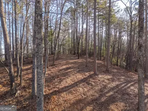 1665 Hunter Dr #42, Talking Rock, GA 30175 photo 5