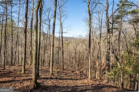 1665 Hunter Dr #42, Talking Rock, GA 30175 photo 7