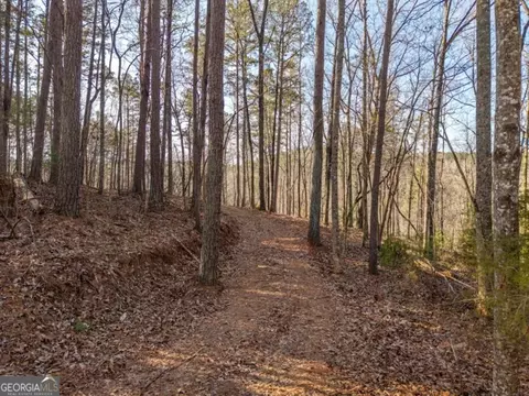 1665 Hunter Dr #42, Talking Rock, GA 30175 photo 3