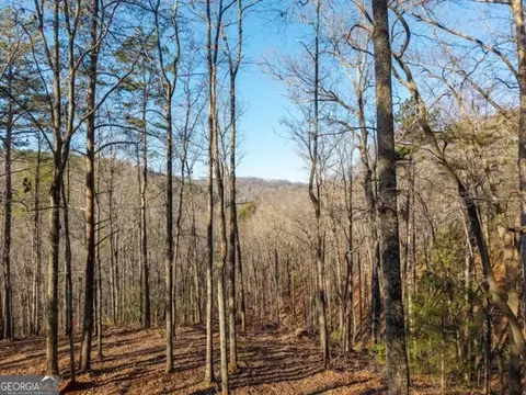 1665 Hunter Dr #42, Talking Rock, GA 30175 photo 4