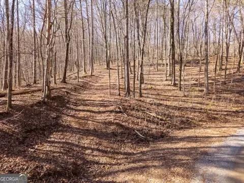 1110 Mayfield Ln, Ranger, GA 30734