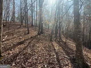 lot2119 Newport Dr #2119, Ellijay, GA 30540
