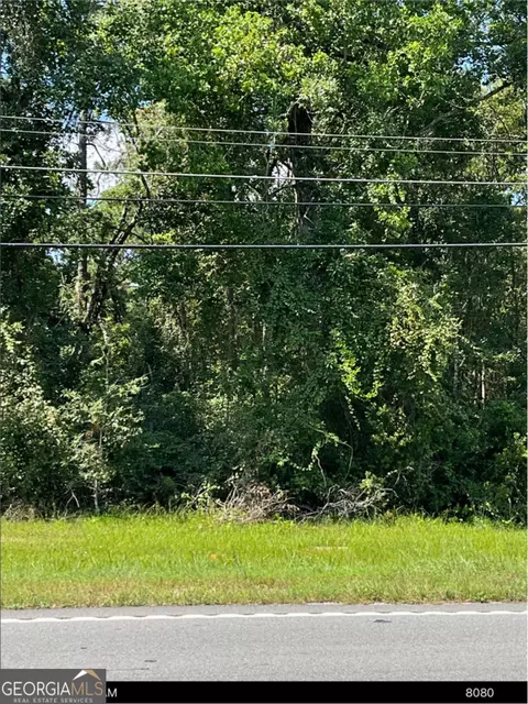 0 S Ga Hwy 341, Jesup, GA 31545