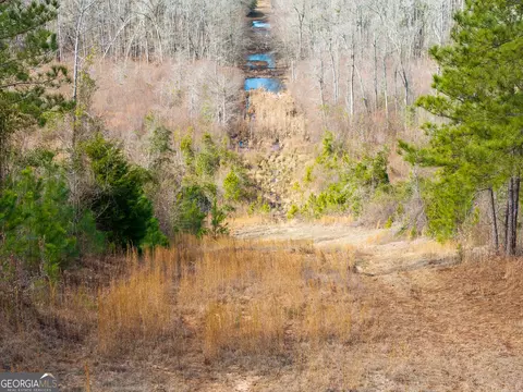 2729 Hadden Pond Rd, Avera, GA 30803 photo 17
