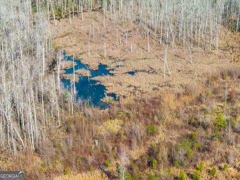 2729 Hadden Pond Rd, Avera, GA 30803 photo 19
