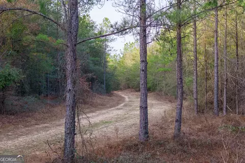 2729 Hadden Pond Rd, Avera, GA 30803 photo 9