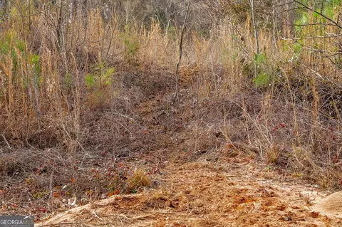 2729 Hadden Pond Rd, Avera, GA 30803 photo 46
