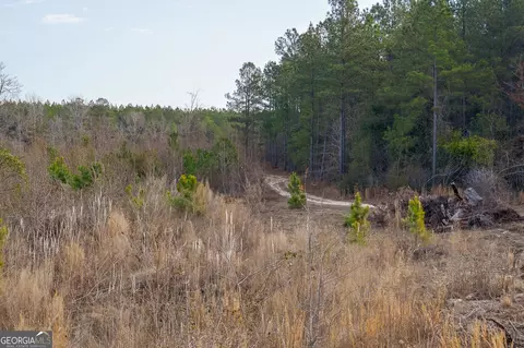 2729 Hadden Pond Rd, Avera, GA 30803 photo 54