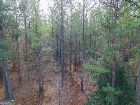 2729 Hadden Pond Rd, Avera, GA 30803 photo 15