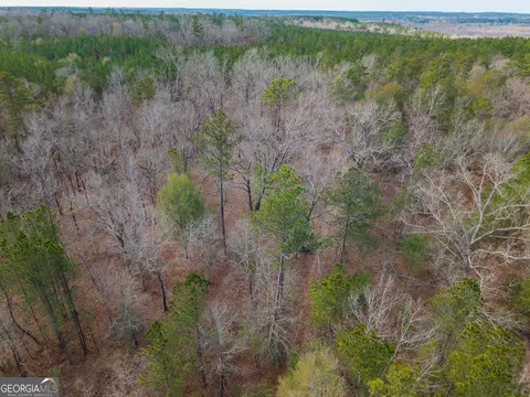 2729 Hadden Pond Rd, Avera, GA 30803 photo 14