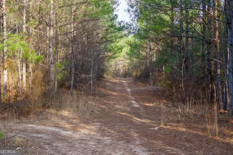 2729 Hadden Pond Rd, Avera, GA 30803 photo 11