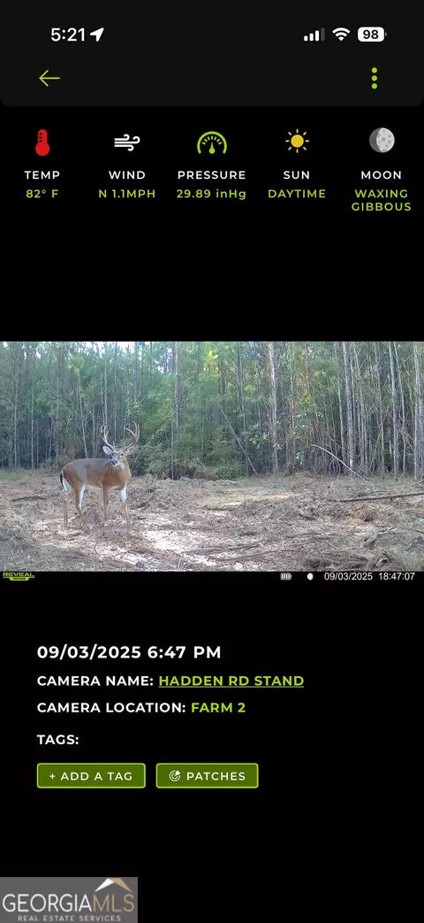 2729 Hadden Pond Rd, Avera, GA 30803 photo 63
