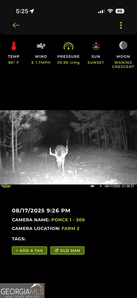 2729 Hadden Pond Rd, Avera, GA 30803 photo 67