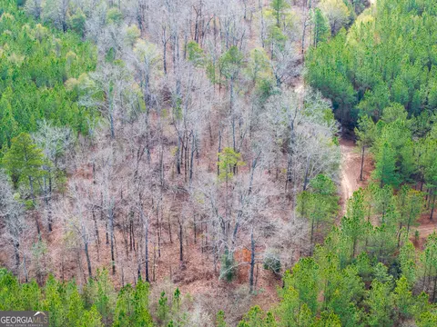 2729 Hadden Pond Rd, Avera, GA 30803 photo 16