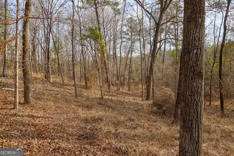 2729 Hadden Pond Rd, Avera, GA 30803 photo 6