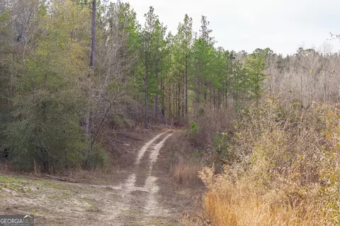2729 Hadden Pond Rd, Avera, GA 30803 photo 48