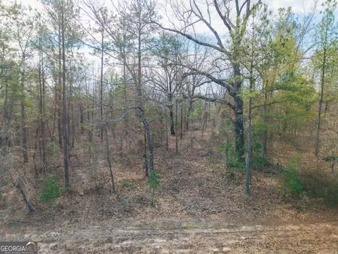2729 Hadden Pond Rd, Avera, GA 30803 photo 13