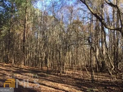 lot Apt 5 11 Ac Mcbride Rd #LOT 5, Fayetteville, GA 30215