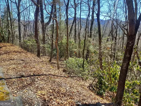 0 Lot 41 Pipetrack Gap Rd, Scaly Mtn, NC 28775