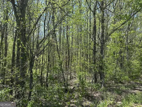 0 N 411 Hwy, Eton, GA 30705