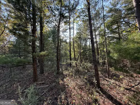 77 Acres Roosevelt Hwy, Warm Springs, GA 31830