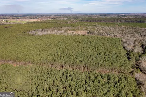0 Mt Zion Rd, Gordon, AL 36343 photo 5