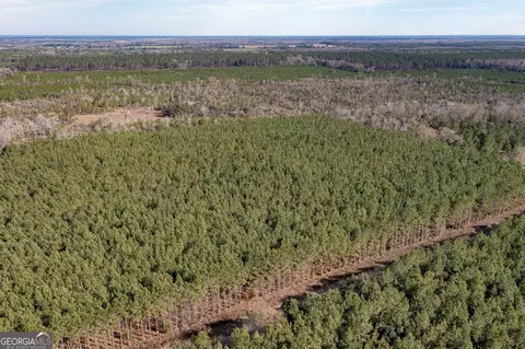 0 Mt Zion Rd, Gordon, AL 36343 photo 2