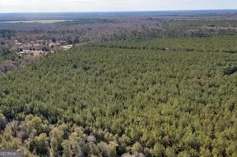 0 Mt Zion Rd, Gordon, AL 36343 photo 3