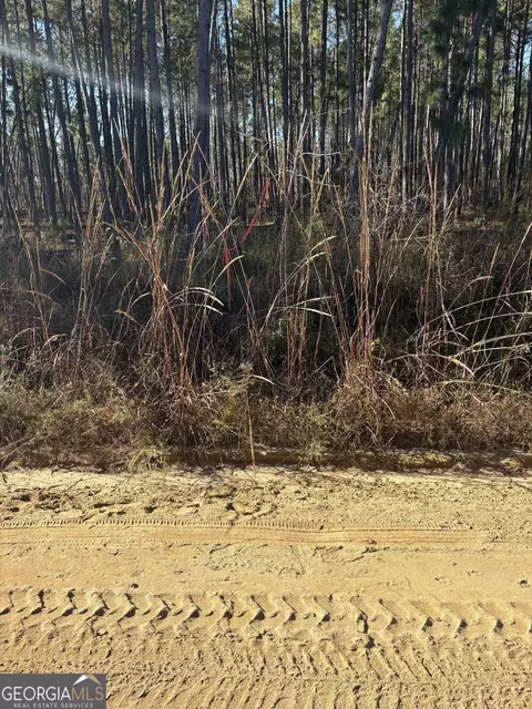 2457 Guy Weatherly Rd, Cadwell, GA 31009